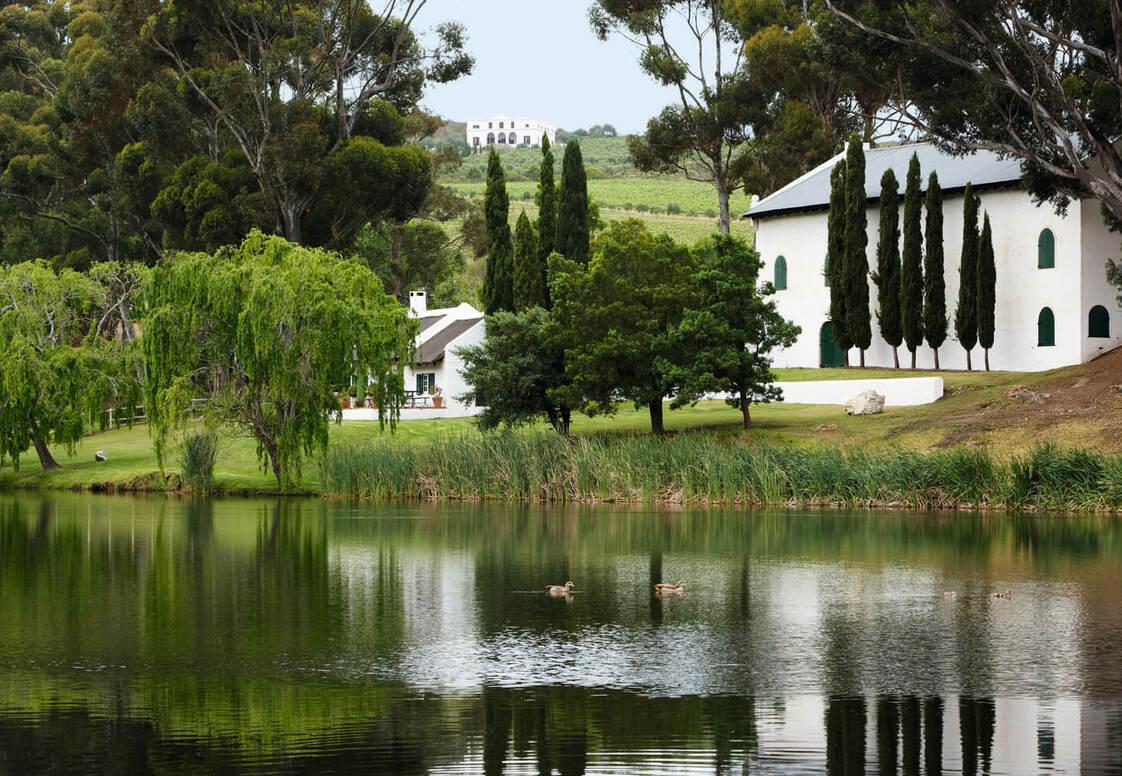 30-Hamilton-Russell-Vineyards-Tasting-Room-and-Cellar-viewed-from-the-pine-forest-Braemar-House-in-the-background 30-Hamilton-Russell-Vineyards-Tasting-Room-and-Cellar-viewed-from-the-pine-forest-Braemar-House-in-the-background