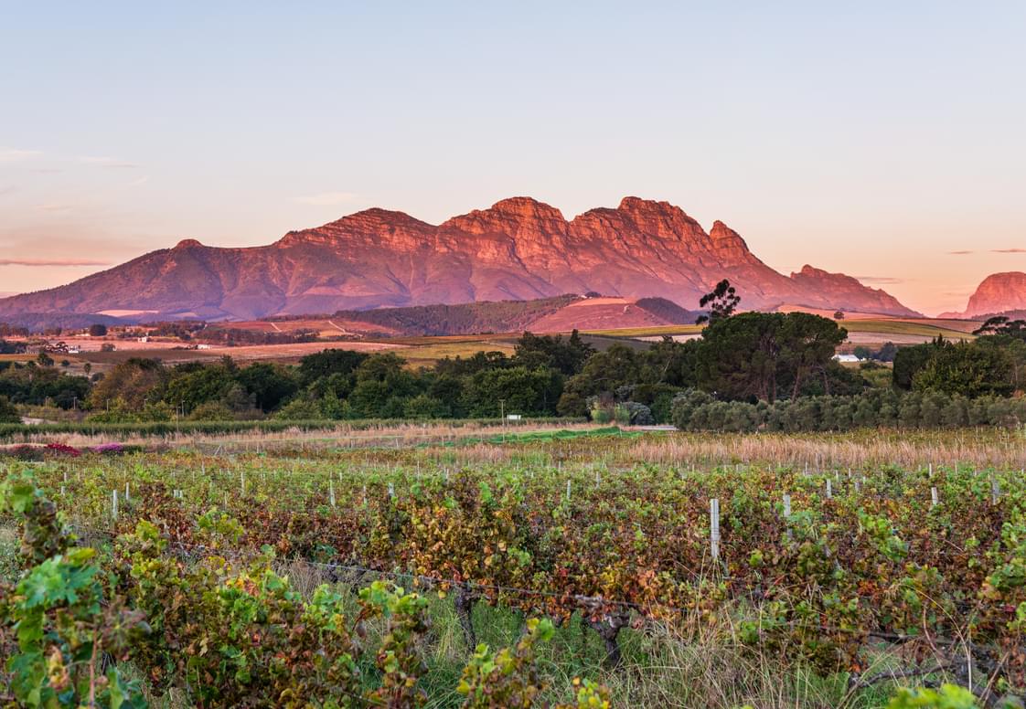 Beyerskloof_(SunsetViews)_03.jpg