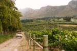 Hasher_Vineyards 1.jpg Hasher_Vineyards 1.jpg