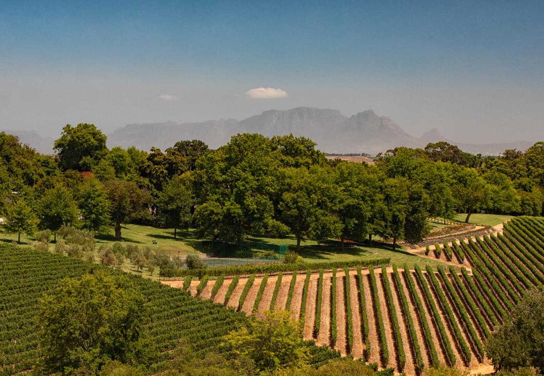 Rust en Vrede Estate Table Mnt.jpg Rust en Vrede Estate Table Mnt.jpg