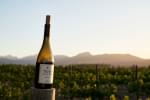 pinotage-on-pole pinotage-on-pole